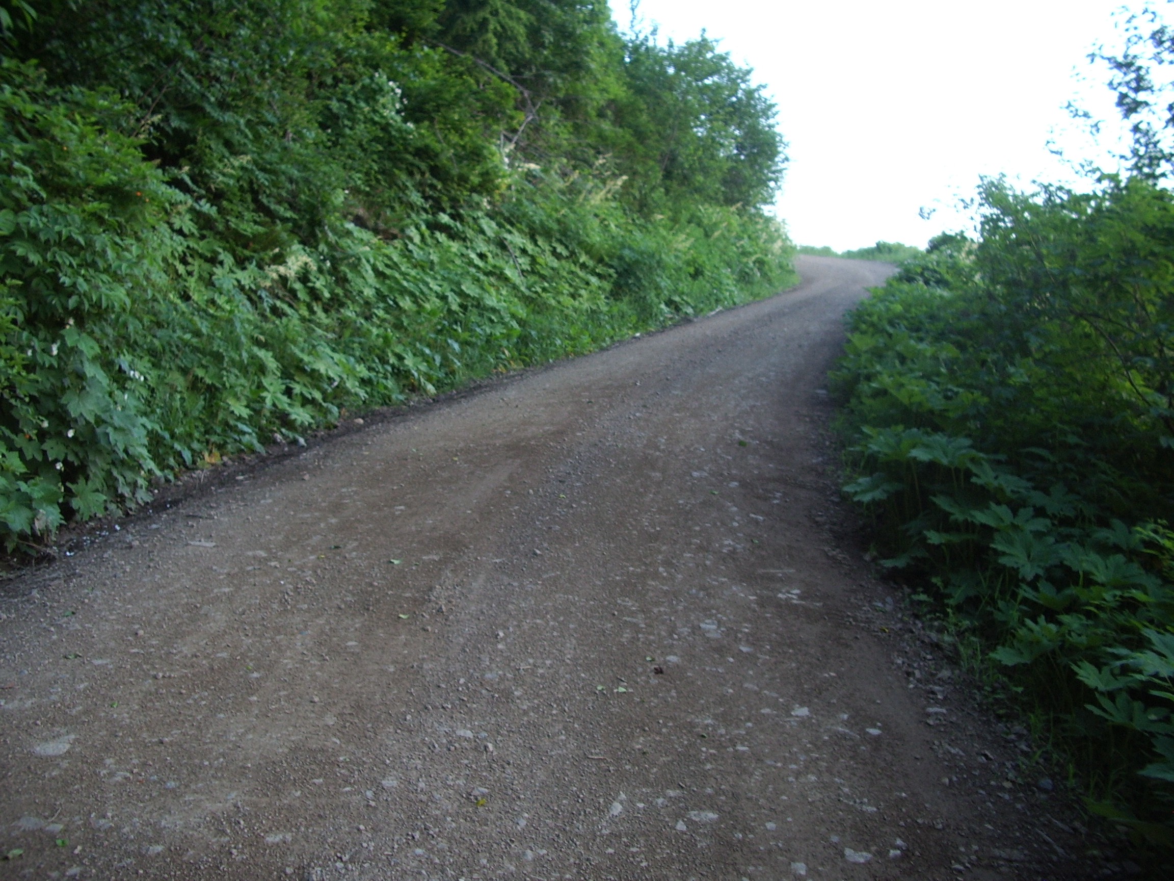 road in the hills