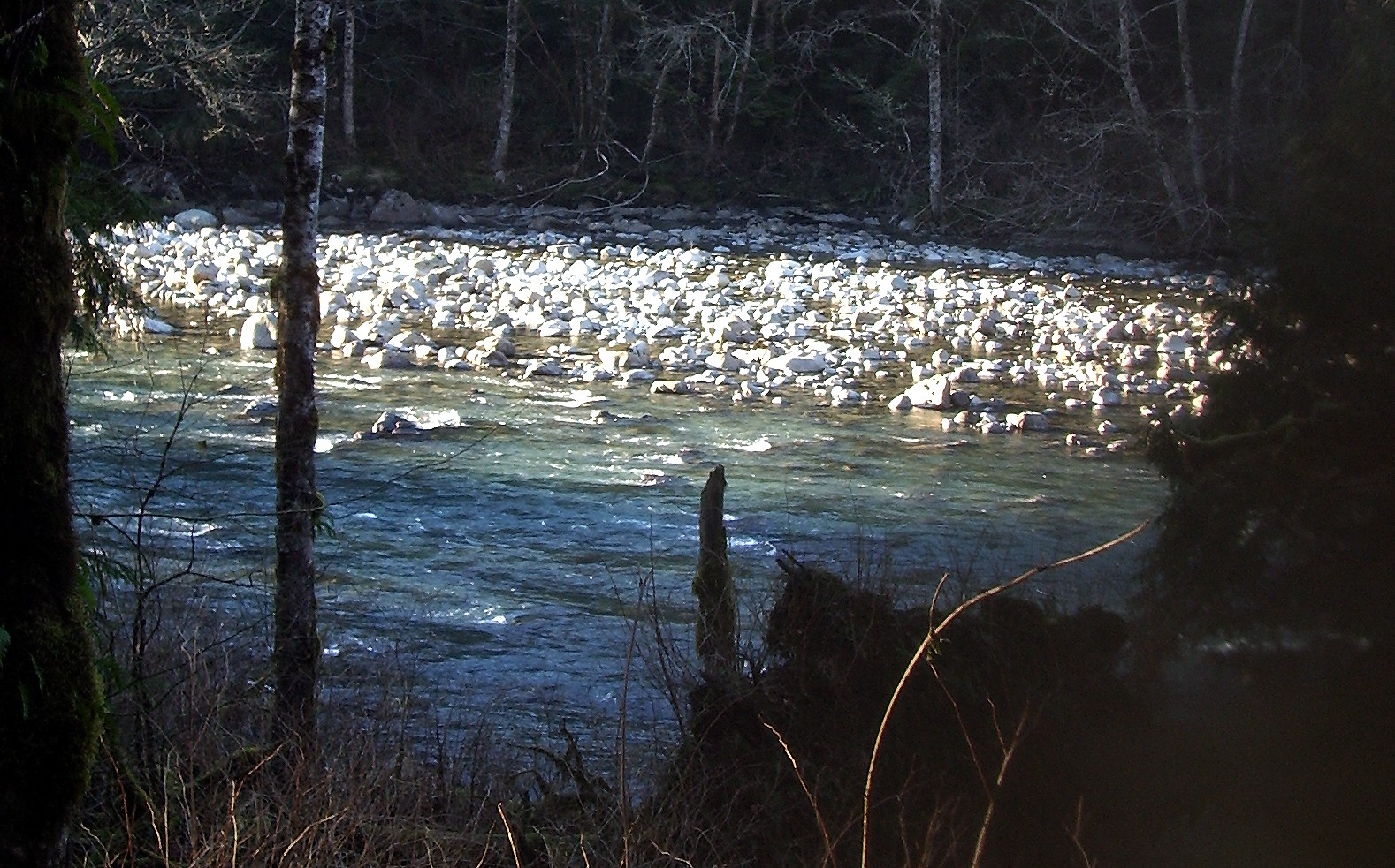rocks in middle fork of snoqualmie