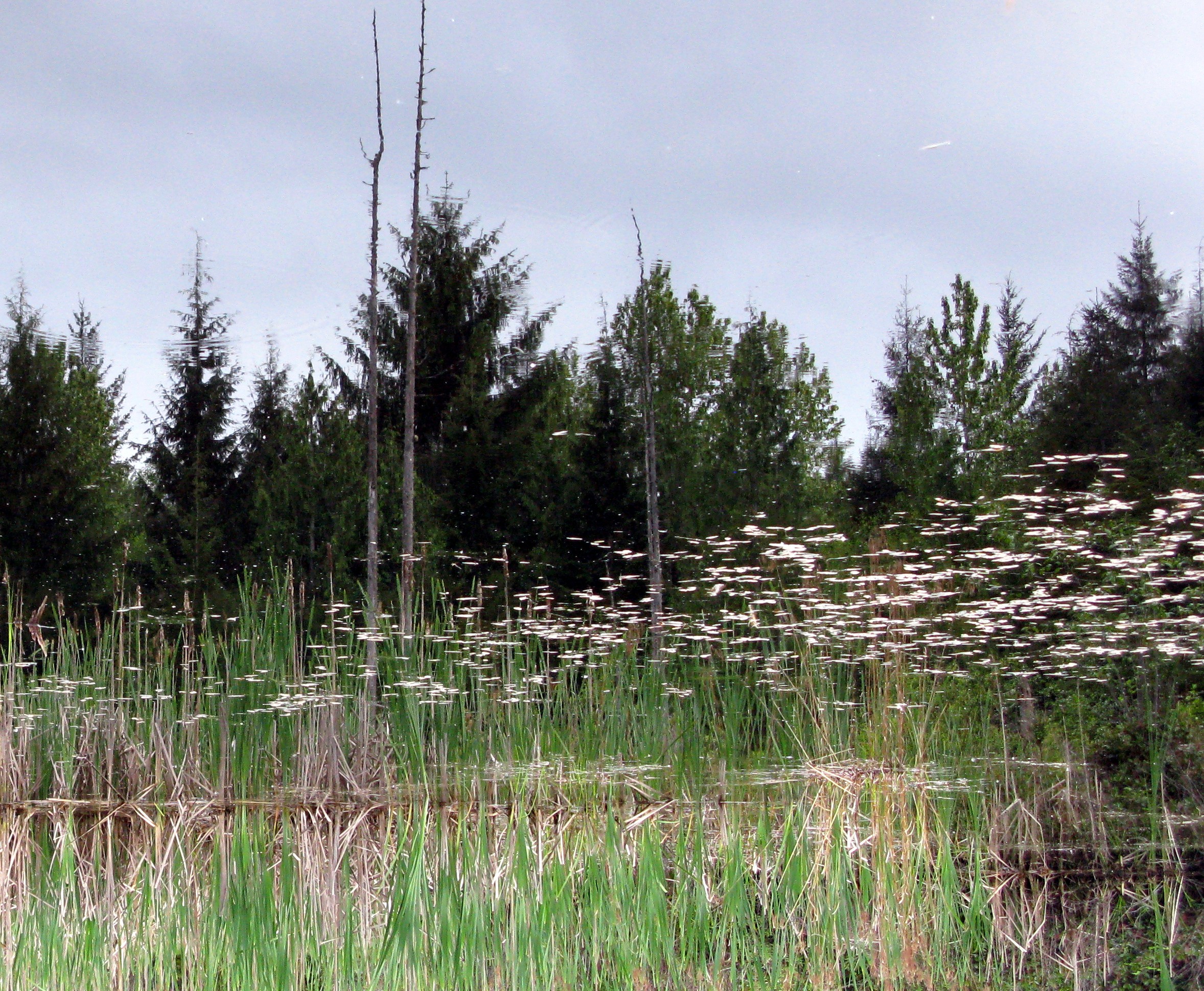 slipping the surly bounds of earth