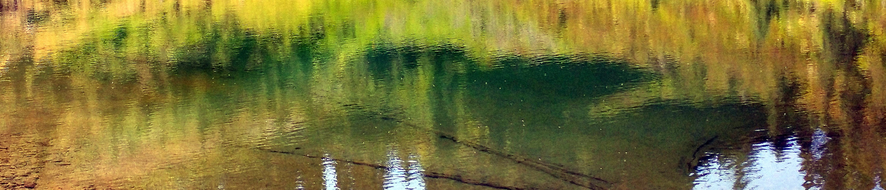 the camera sees reality