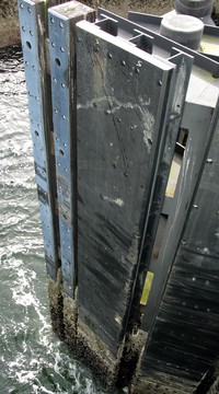 bremerton ferry dock pier