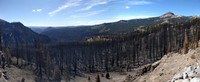 burnt trees near Lassen