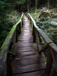 carbon river wooden bridge