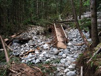 ccc trail 1264 Middle Fork Snoqualmie River