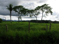 countryside on way to yaviza