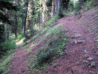 east side trail switchback