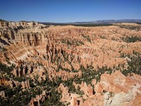 from Bryce Point