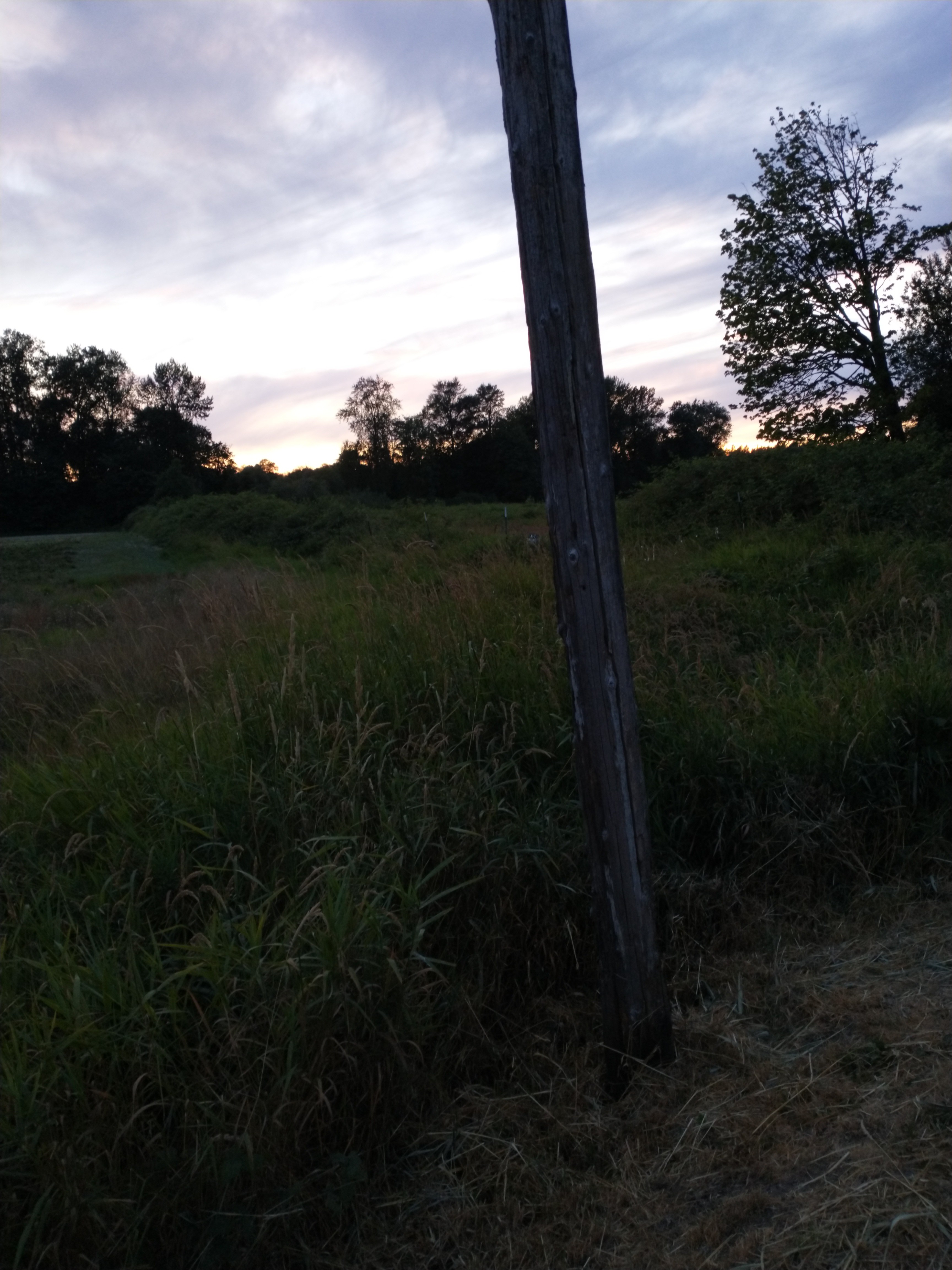 geocache svt woody woodpecker was wrong when wintering west loc