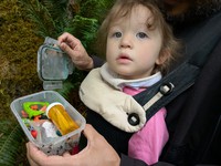 geocache Cedar River Octopus GC3D3Y5 con