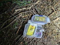 geocache Horsing Around at Crystal Mt GC63C3V con