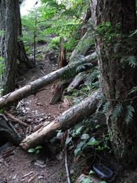 geocache Kamikaze inp