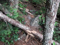 geocache Kamikaze loc