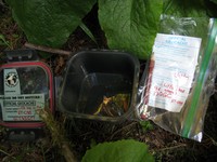 geocache Little Box in the Woods one con