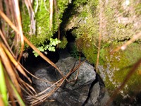 geocache Source Lake Lookout inp