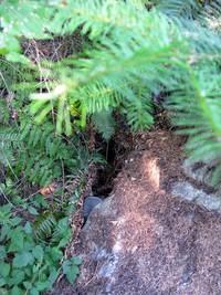 geocache Tenefiffe Trek inp