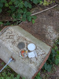geocache ZIP accross the river GC129G0 con