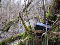 geocache buya stream inp