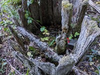 geocache fourth from the north GCAF47J inp