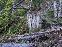 geocache fourth from the north GCAF47J loc