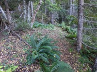 geocache fourth from the north GCAF47J loc