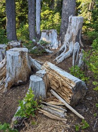 geocache geocache GCD inp