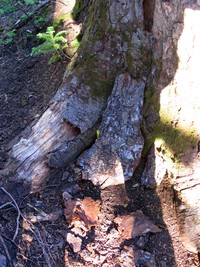 geocache geocache inp