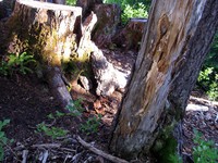 geocache geocache inp