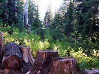 geocache geocache loc