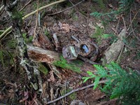 geocache hidden playground inp