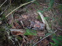 geocache hidden playground inp