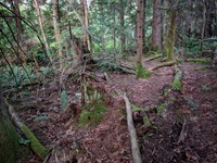 geocache hidden playground loc