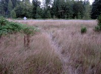 geocache in the loop loc