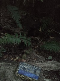 geocache jungle king con