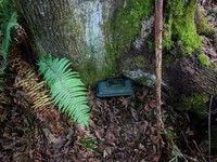 geocache kid cache inp