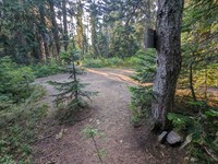 geocache margaret GC4KY24 inp