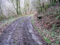 geocache one degree of separation tree farm n20 loc