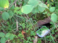 geocache play ball inp