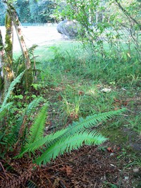 geocache play ball loc