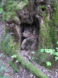 geocache post roundup inp