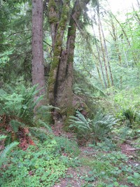 geocache post roundup loc