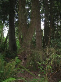 geocache post roundup loc