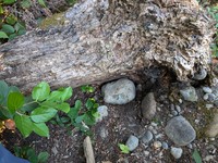 geocache treasure in the log ii GC6KTFT loc