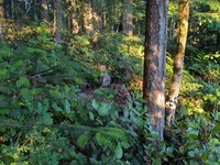 geocache treasure in the log ii GC6KTFT loc