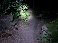 geocache treeasure in Saint Eds GCAJ6XG loc