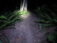 geocache treeasure in Saint Eds GCAJ6XG loc