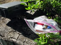 geocache view cache con