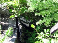 geocache view cache inp