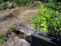 geocache view cache loc