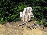 geocache view cache loc