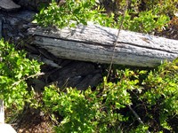 geocache wonkatania inp